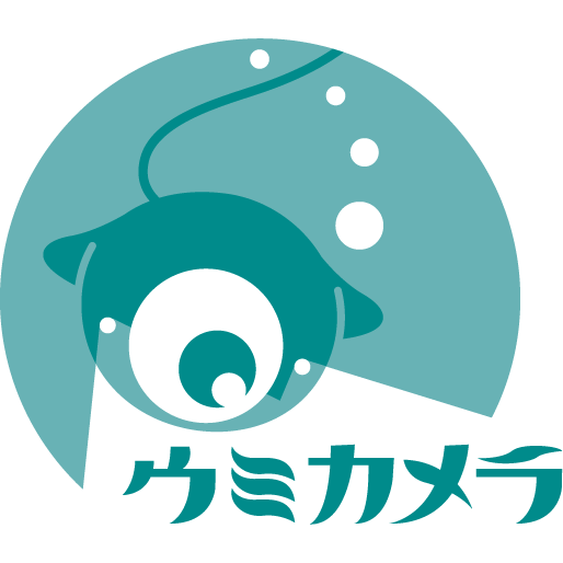 株式会社メディアクトのプレスリリース画像1