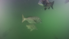 株式会社メディアクトのプレスリリース画像1