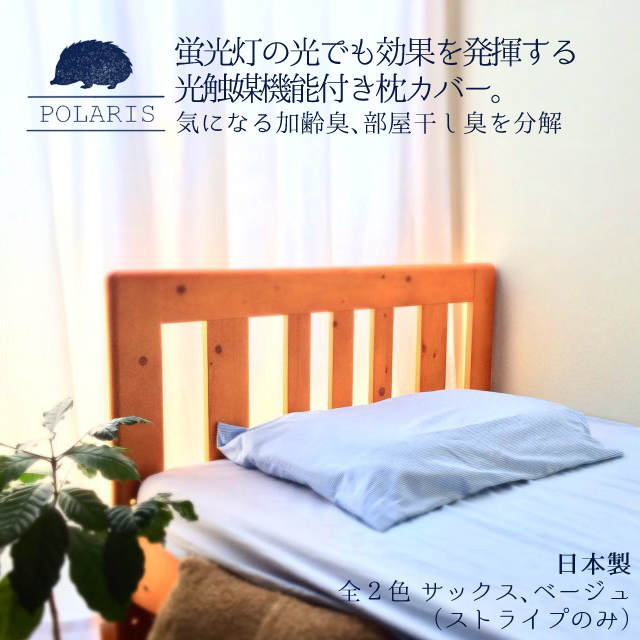 Polarisのプレスリリース画像1