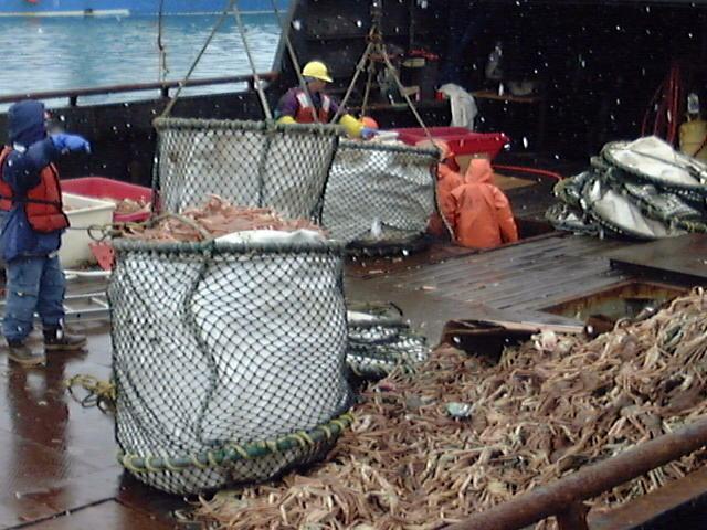 かに工房株式会社のプレスリリース画像7