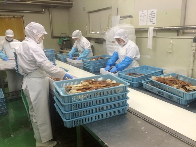 かに工房株式会社のプレスリリース画像10