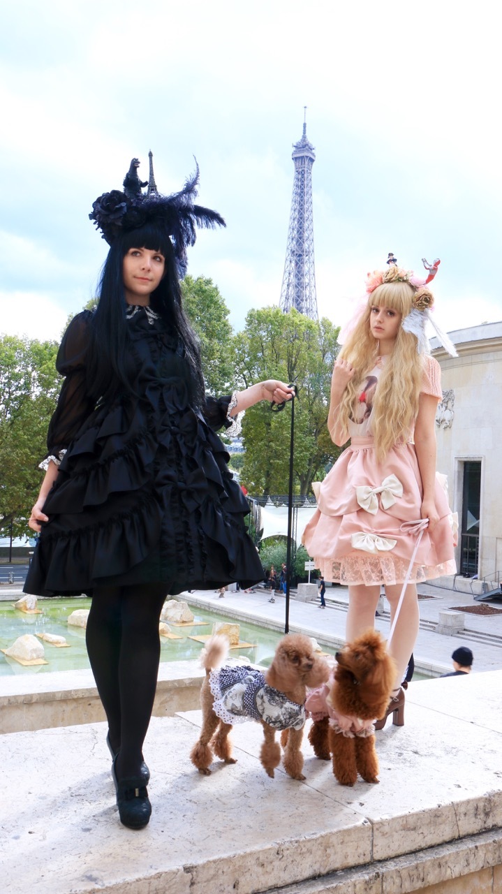 株式会社ロジー　マリーアントワネットの娘達のプレスリリース画像1