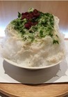 株式会社ケー・ディー(ひとり鍋しゃぶしゃぶり山)のプレスリリース画像4