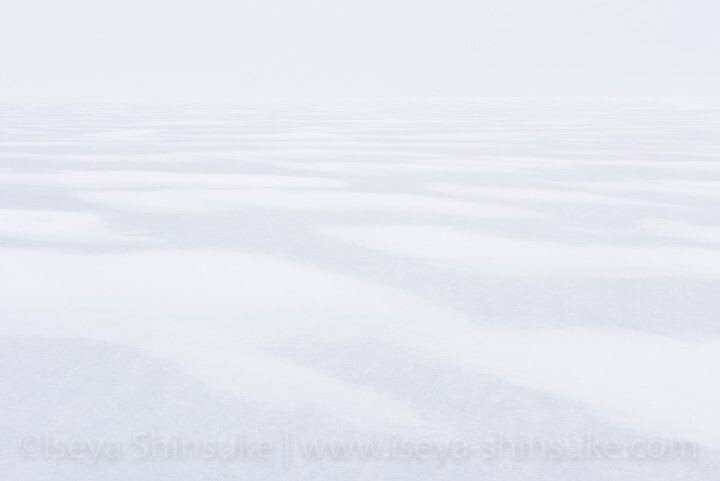 Iseya Shinsukeのプレスリリース画像3