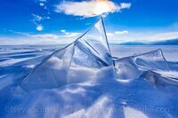 Iseya Shinsukeのプレスリリース画像1