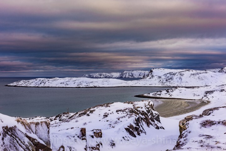 Iseya Shinsukeのプレスリリース画像10