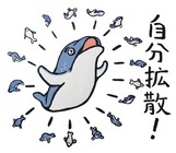 株式会社ドルフィンのプレスリリース画像4