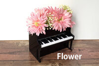 R&amp;C Company 【momiji music】のプレスリリース画像7