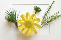 株式会社ミクニライフ&オートのプレスリリース