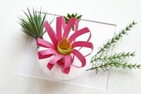 株式会社ミクニライフ&amp;オートのプレスリリース画像4