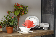 株式会社ミクニライフ&amp;オートのプレスリリース画像4