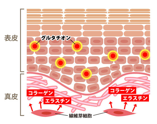 株式会社京LOCOのプレスリリース画像5