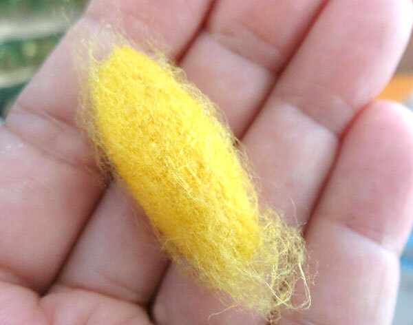 株式会社京LOCOのプレスリリース画像4