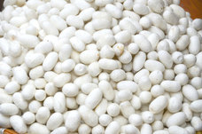 株式会社京LOCOのプレスリリース画像3