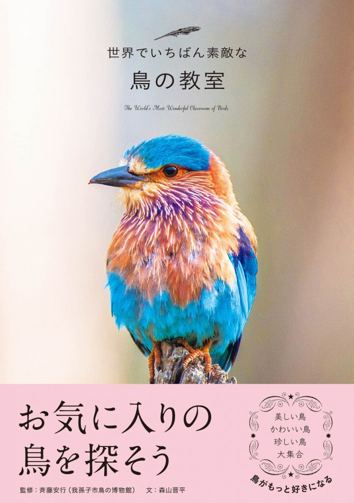 世界の「美しい鳥」「かわいい鳥」「珍しい鳥」の写真を約190点収録