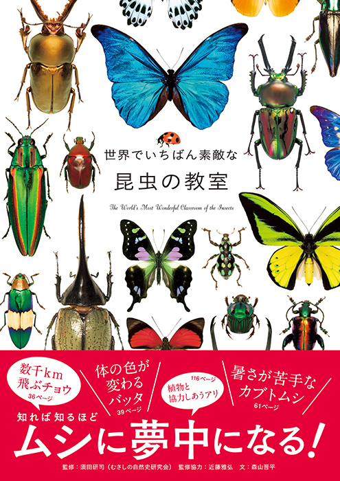 知れば知るほどムシに夢中に 世界の 美しい昆虫 かわいい昆虫 珍しい昆虫 の写真を約270点収録した 世界でいちばん素敵な昆虫の教室 7月25日発売 株式会社三才ブックスのプレスリリース 知れば知るほどムシに夢中に 世界の 美しい昆虫 かわいい昆虫 珍しい昆虫 の写真を約270点収録した 世界でいちばん素敵な昆虫の教室 7月25日発売 株式会社三才ブックスのプレスリリース