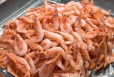 株式会社グリーンハウスフーズのプレスリリース画像3