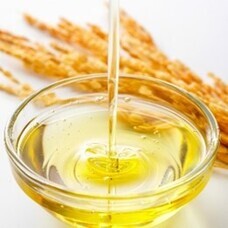 株式会社グリーンハウスフーズのプレスリリース画像3