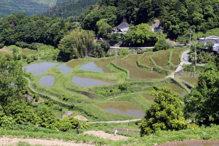 東温市のプレスリリース画像1