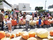 東温市のプレスリリース