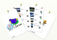 ルーラルーのプレスリリース画像1