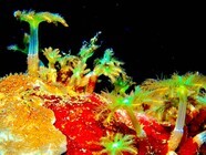 冬月グループホールディングス株式会社のプレスリリース画像2