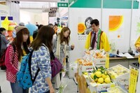 日本創生のための将来世代応援知事同盟のプレスリリース画像3