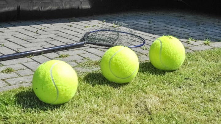 日本アマチュアスポーツ推進協会 [ 運営会社：株式会社エコLOVE ]のプレスリリース画像5