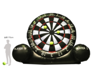 日本アマチュアスポーツ推進協会 [ 運営会社：株式会社エコLOVE ]のプレスリリース画像2