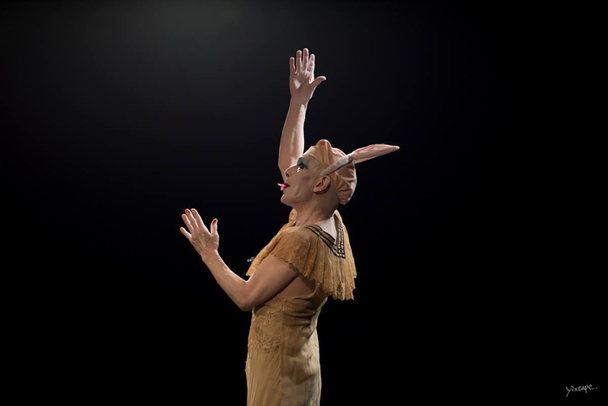 北海道コンテンポラリーダンス普及委員会のプレスリリース画像3