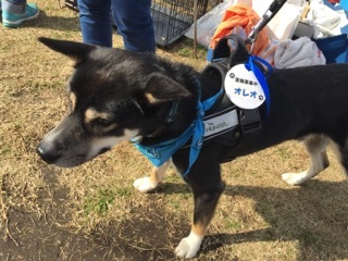 株式会社ジェイエーアメニティーハウスのプレスリリース画像4