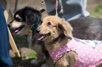 株式会社ジェイエーアメニティーハウスのプレスリリース画像1