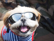 株式会社ジェイエーアメニティーハウスのプレスリリース画像3