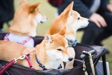 株式会社ジェイエーアメニティーハウスのプレスリリース画像7