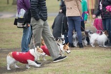 株式会社ジェイエーアメニティーハウスのプレスリリース画像4