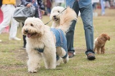 株式会社ジェイエーアメニティーハウスのプレスリリース画像6