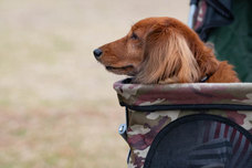 株式会社ジェイエーアメニティーハウスのプレスリリース画像3