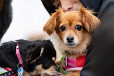 株式会社ジェイエーアメニティーハウスのプレスリリース画像4