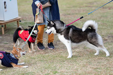 株式会社ジェイエーアメニティーハウスのプレスリリース画像6