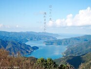 とよひかり珈琲店のプレスリリース画像1