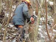 石川酒造株式会社のプレスリリース画像7