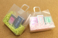 株式会社PAMインターナショナルのプレスリリース画像4