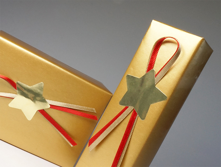 株式会社PAMインターナショナルのプレスリリース画像3