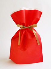 株式会社PAMインターナショナルのプレスリリース画像4