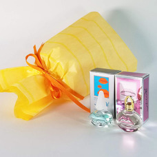 株式会社PAMインターナショナルのプレスリリース画像6