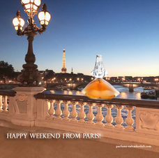 株式会社PAMインターナショナルのプレスリリース画像5