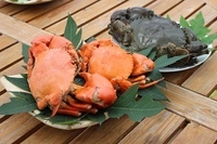 株式会社沖縄県物産公社のプレスリリース