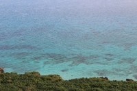 株式会社沖縄県物産公社のプレスリリース画像5