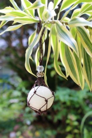 株式会社沖縄県物産公社のプレスリリース画像6