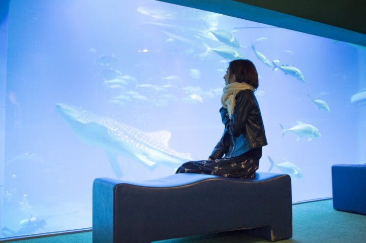 株式会社海遊館のプレスリリース画像2